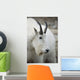 Mountain Goat In Alberta Canada During Fall Wall Mural