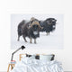 View Of A Pair Of Muskoxen Bulls Wall Mural