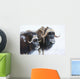 Portrait Of A Two Bull Muskoxen With Their Faces Covered In Snow Wall Mural