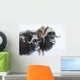 Portrait Of A Two Bull Muskoxen With Their Faces Covered In Snow Wall Mural
