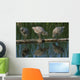 Adolescent Gull Chicks Wall Mural