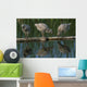 Adolescent Gull Chicks Wall Mural