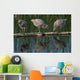 Adolescent Gull Chicks Wall Mural