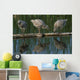 Adolescent Gull Chicks Wall Mural