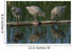 Adolescent Gull Chicks Wall Mural