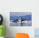 Humpback Whales Bubble Net Feeding For Herring In Chatham Strait Wall Mural