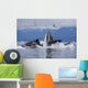 Humpback Whales Bubble Net Feeding For Herring In Chatham Strait Wall Mural