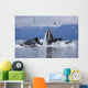 Humpback Whales Bubble Net Feeding For Herring In Chatham Strait Wall Mural