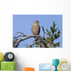 Pigeon Hawk Sits On A Tree Branch In Turnagain Pass Area Wall Mural
