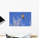 Hawk Owl Perched On Hoarfrosted Branches Wall Mural