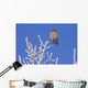 Hawk Owl Perched On Hoarfrosted Branches Wall Mural