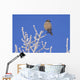 Hawk Owl Perched On Hoarfrosted Branches Wall Mural