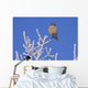 Hawk Owl Perched On Hoarfrosted Branches Wall Mural