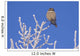 Hawk Owl Perched On Hoarfrosted Branches Wall Mural
