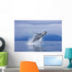 A Humpback Whale Breaches Wall Mural