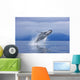 A Humpback Whale Breaches Wall Mural