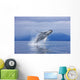 A Humpback Whale Breaches Wall Mural
