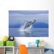 A Humpback Whale Breaches Wall Mural