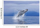 A Humpback Whale Breaches Wall Mural