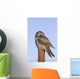Hawk Owl Is Perched On A Fence Post Wall Mural