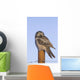 Hawk Owl Is Perched On A Fence Post Wall Mural