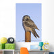 Hawk Owl Is Perched On A Fence Post Wall Mural
