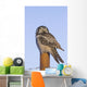 Hawk Owl Is Perched On A Fence Post Wall Mural