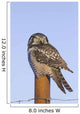 Hawk Owl Is Perched On A Fence Post Wall Mural