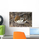 Portrait Of Willow Ptarmigan Female With Spring Plummage Wall Mural