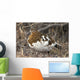 Portrait Of Willow Ptarmigan Female With Spring Plummage Wall Mural