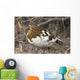 Portrait Of Willow Ptarmigan Female With Spring Plummage Wall Mural
