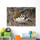 Portrait Of Willow Ptarmigan Female With Spring Plummage Wall Mural
