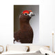 Portrait Of A Male Willow Ptarmigan During Spring In Interior Alaska Wall Mural