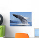 A Humpback Whale Breaches Wall Mural