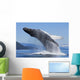 A Humpback Whale Breaches Wall Mural