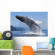 A Humpback Whale Breaches Wall Mural