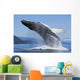 A Humpback Whale Breaches Wall Mural