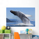 A Humpback Whale Breaches Wall Mural