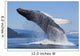 A Humpback Whale Breaches Wall Mural