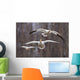 Three Snow Geese In Flight During Spring In The Matanuska Valley Wall Mural