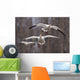 Three Snow Geese In Flight During Spring In The Matanuska Valley Wall Mural