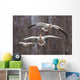 Three Snow Geese In Flight During Spring In The Matanuska Valley Wall Mural