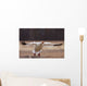 Snow Goose Landing During Spring In The Matanuska Valley Wall Mural