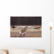 Snow Goose Landing During Spring In The Matanuska Valley Wall Mural