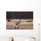 Snow Goose Landing During Spring In The Matanuska Valley Wall Mural