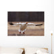 Snow Goose Landing During Spring In The Matanuska Valley Wall Mural