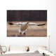 Snow Goose Landing During Spring In The Matanuska Valley Wall Mural