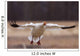 Snow Goose Landing During Spring In The Matanuska Valley Wall Mural