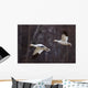 Two Snow Geese In Flight During Spring In The Matanuska Valley Wall Mural