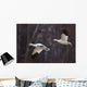 Two Snow Geese In Flight During Spring In The Matanuska Valley Wall Mural